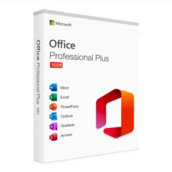 Microsoft Office Professional Plus 2024 licence